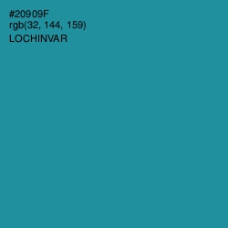 #20909F - Lochinvar Color Image