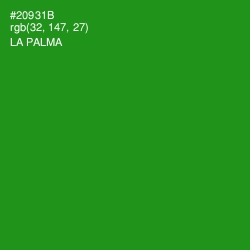 #20931B - La Palma Color Image