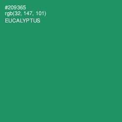 #209365 - Eucalyptus Color Image