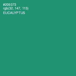 #209373 - Eucalyptus Color Image
