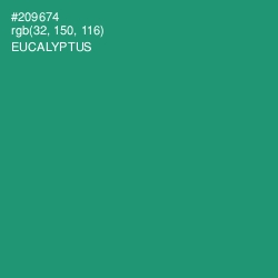 #209674 - Eucalyptus Color Image