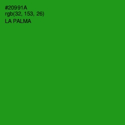 #20991A - La Palma Color Image