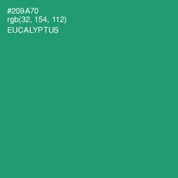 #209A70 - Eucalyptus Color Image