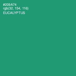 #209A74 - Eucalyptus Color Image