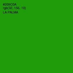 #209C0A - La Palma Color Image