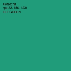 #209C7B - Elf Green Color Image