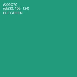 #209C7C - Elf Green Color Image