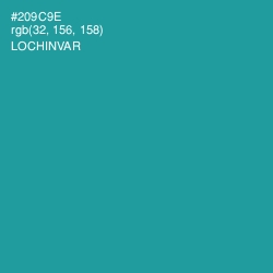 #209C9E - Lochinvar Color Image