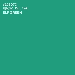 #209D7C - Elf Green Color Image