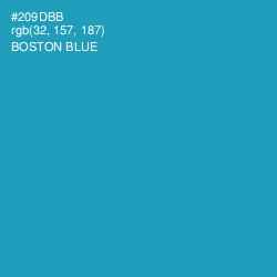 #209DBB - Boston Blue Color Image