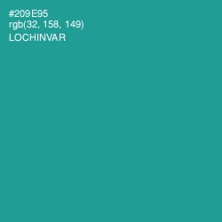 #209E95 - Lochinvar Color Image