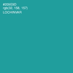 #209E9D - Lochinvar Color Image