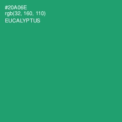 #20A06E - Eucalyptus Color Image