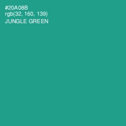 #20A08B - Jungle Green Color Image