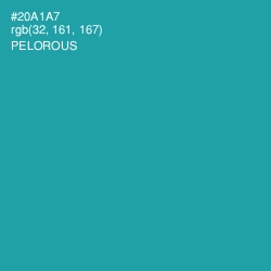 #20A1A7 - Pelorous Color Image