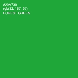 #20A739 - Forest Green Color Image