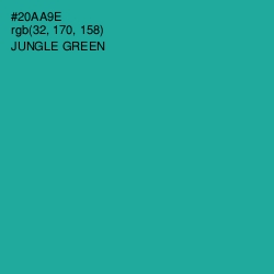 #20AA9E - Jungle Green Color Image