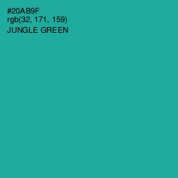 #20AB9F - Jungle Green Color Image