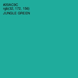 #20AC9C - Jungle Green Color Image