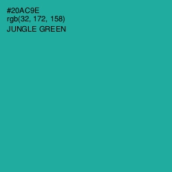 #20AC9E - Jungle Green Color Image