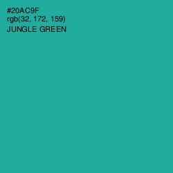 #20AC9F - Jungle Green Color Image