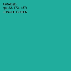 #20AD9D - Jungle Green Color Image