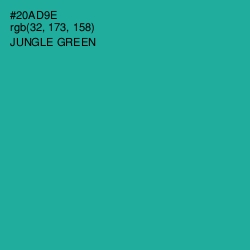 #20AD9E - Jungle Green Color Image