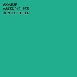#20AE8F - Jungle Green Color Image