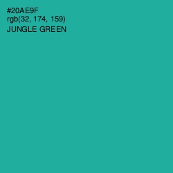 #20AE9F - Jungle Green Color Image