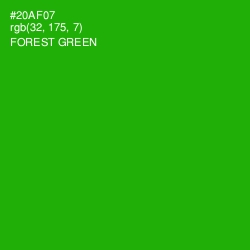 #20AF07 - Forest Green Color Image