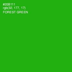 #20B111 - Forest Green Color Image
