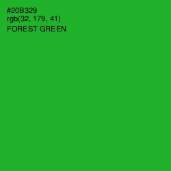 #20B329 - Forest Green Color Image