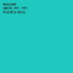#20C9BF - Puerto Rico Color Image