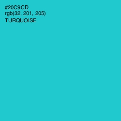 #20C9CD - Turquoise Color Image