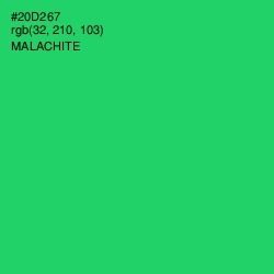 #20D267 - Malachite Color Image