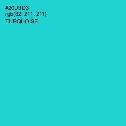 #20D3D3 - Turquoise Color Image