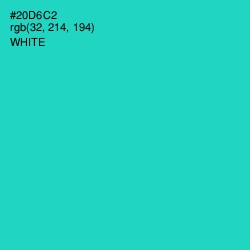 #20D6C2 - Turquoise Color Image