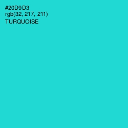 #20D9D3 - Turquoise Color Image