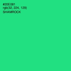 #20E081 - Shamrock Color Image