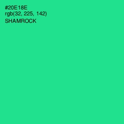 #20E18E - Shamrock Color Image