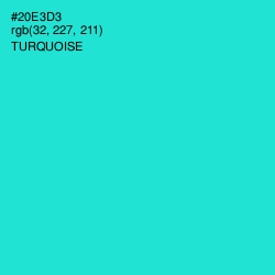 #20E3D3 - Turquoise Color Image