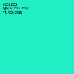 #20EEC3 - Turquoise Color Image