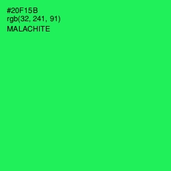 #20F15B - Malachite Color Image