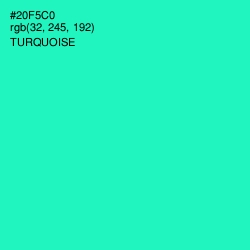 #20F5C0 - Turquoise Color Image