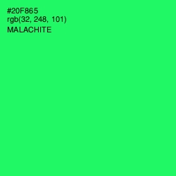 #20F865 - Malachite Color Image