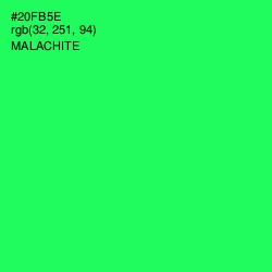 #20FB5E - Malachite Color Image