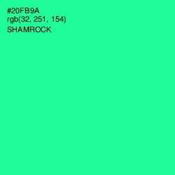 #20FB9A - Shamrock Color Image