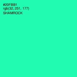 #20FBB1 - Shamrock Color Image