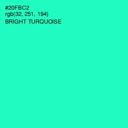 #20FBC2 - Bright Turquoise Color Image