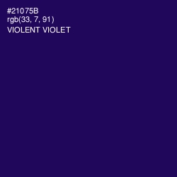 #21075B - Violent Violet Color Image